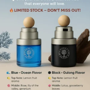 Air Fragrance for car