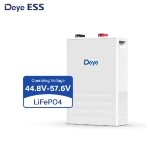 Deye 5KWh 51.2V, 100Ah Energy Storage Lithium Battery (SE-F5)